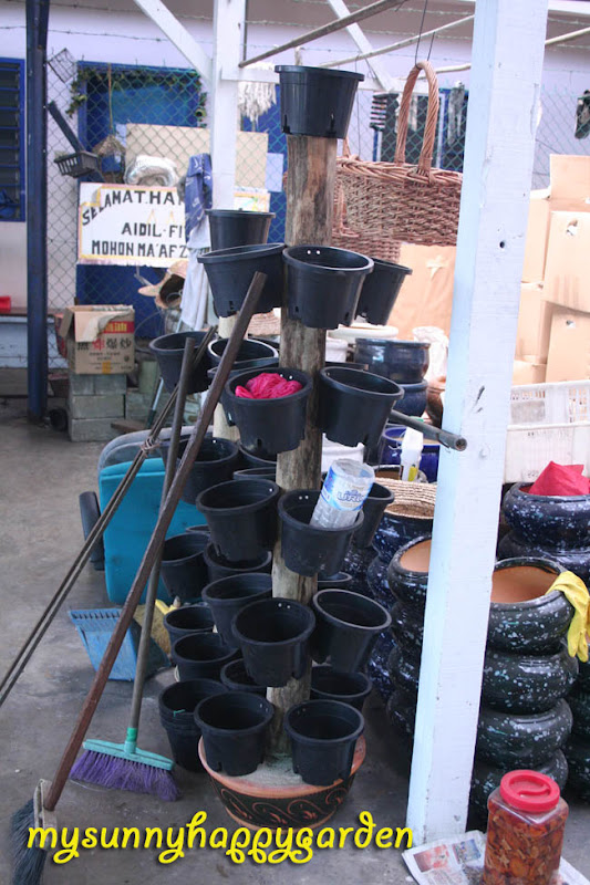 My Sunny Happy Garden Tips from United Malaysian Orchid